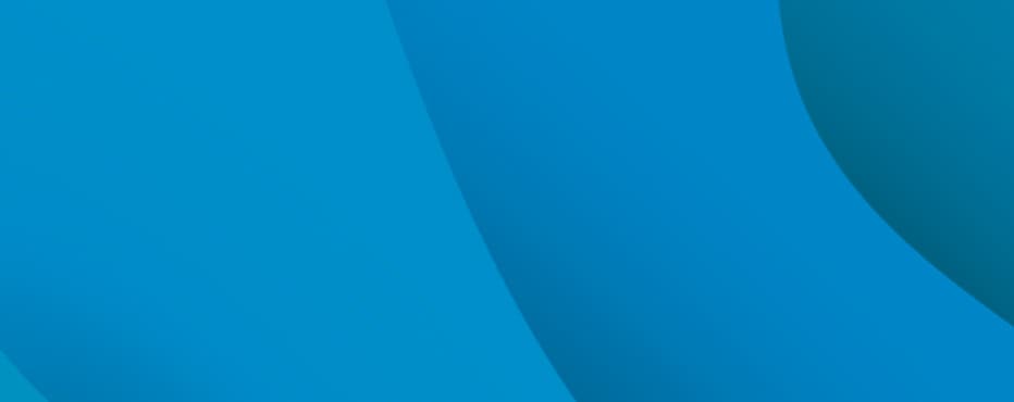 blue lines